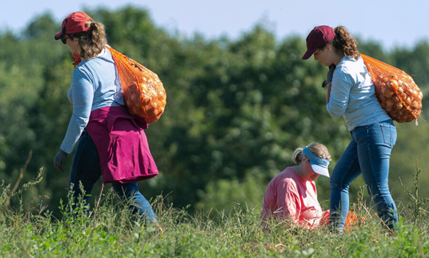 Guardian Team Comes Together to Help End Hunger